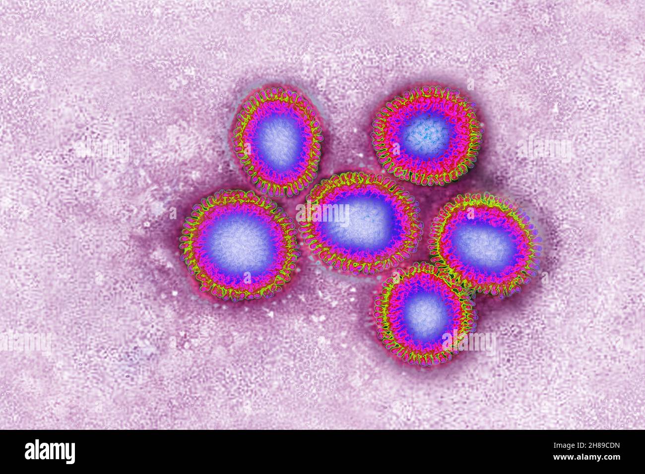 Influenza virus Stock Photo