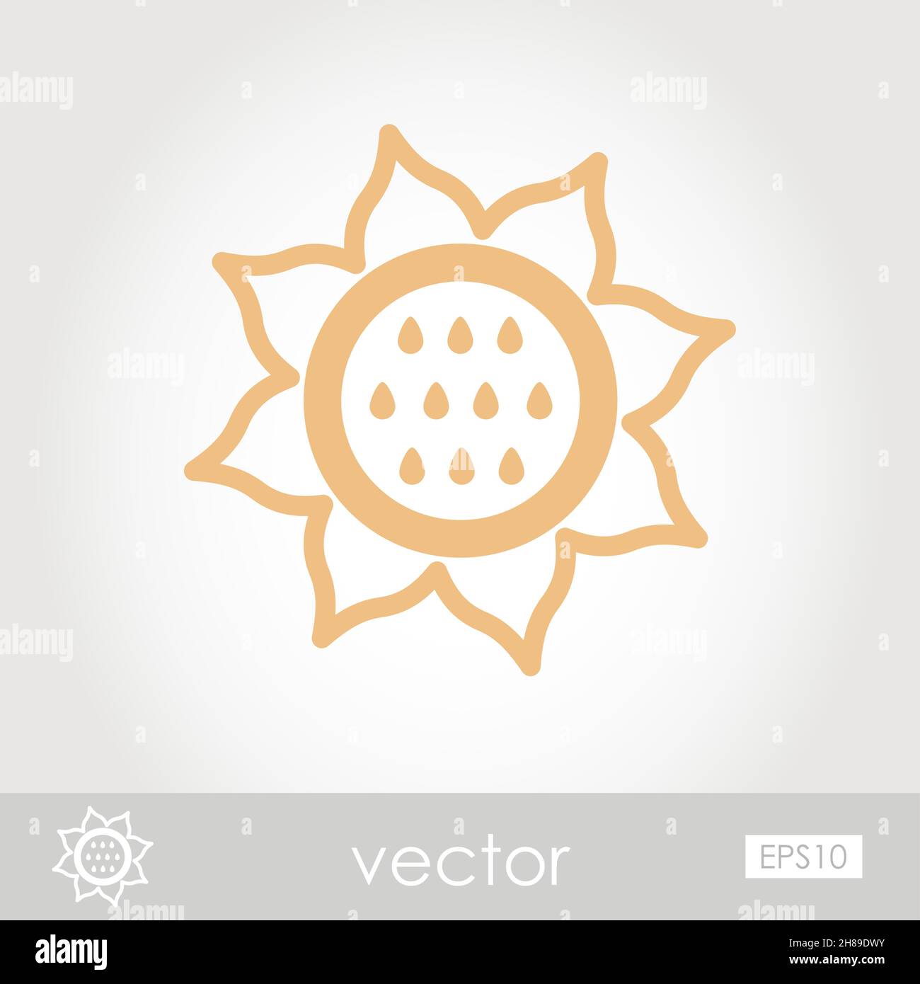 The modern vector sunflower icon, eps 10 Stock Vector Image & Art - Alamy