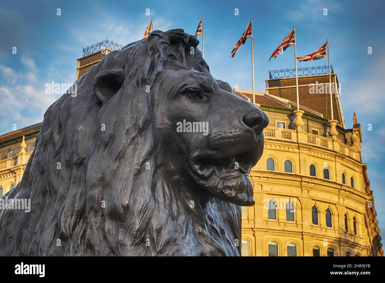 lion statues trafalgar square Stock Photo Alamy