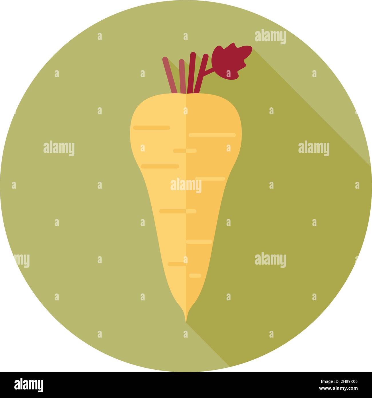 Parsnip root flat icon. Vegetable vector illustration Stock Vector ...