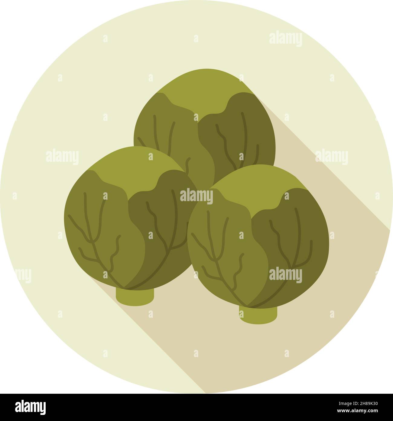 Brussels sprouts flat icon. Vegetable vector illustration Stock Vector