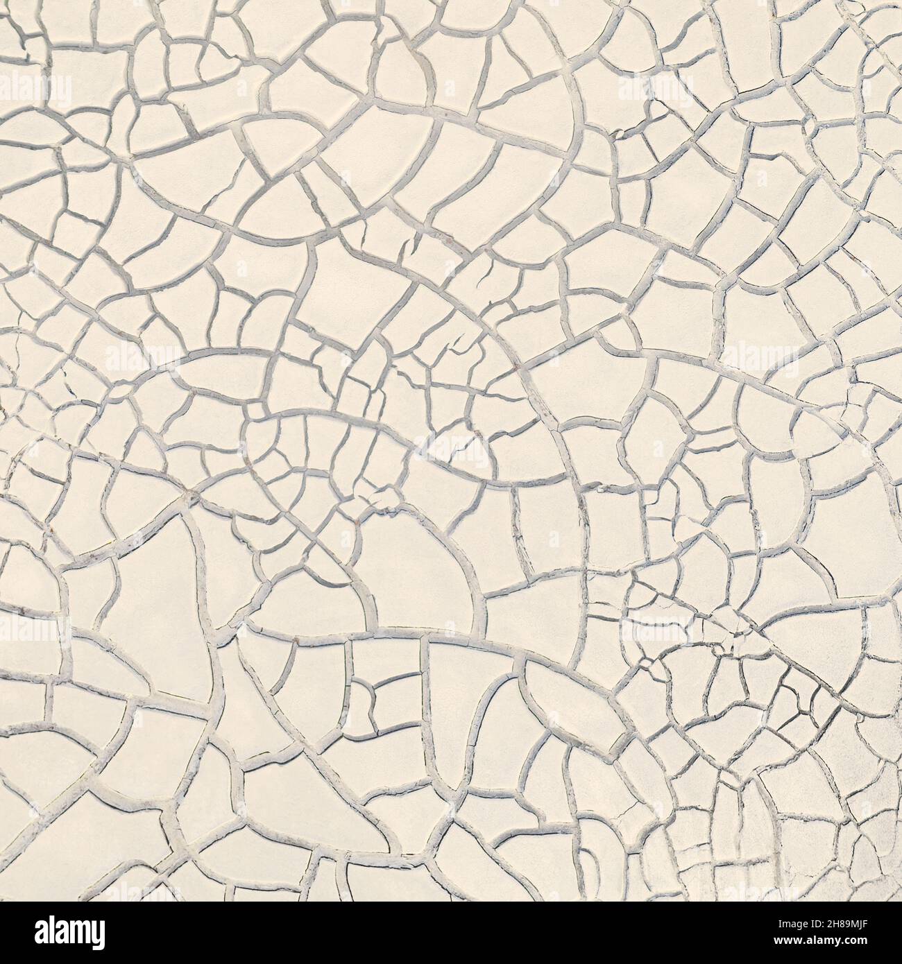 Cracked white clay, dried lakebed surface texture Stock Photo