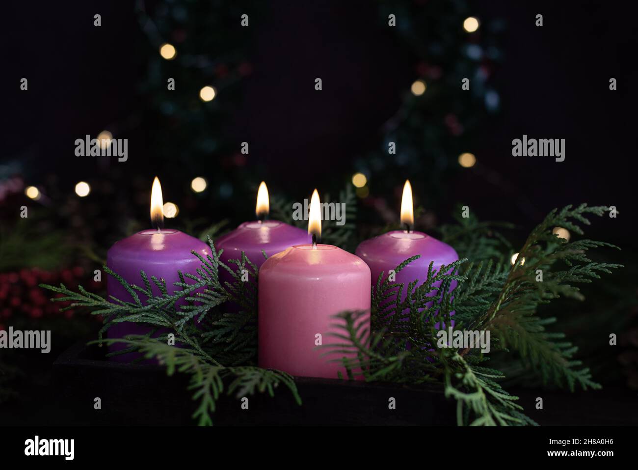 Three purple and one pink advent candles in Christmas eve, catholic