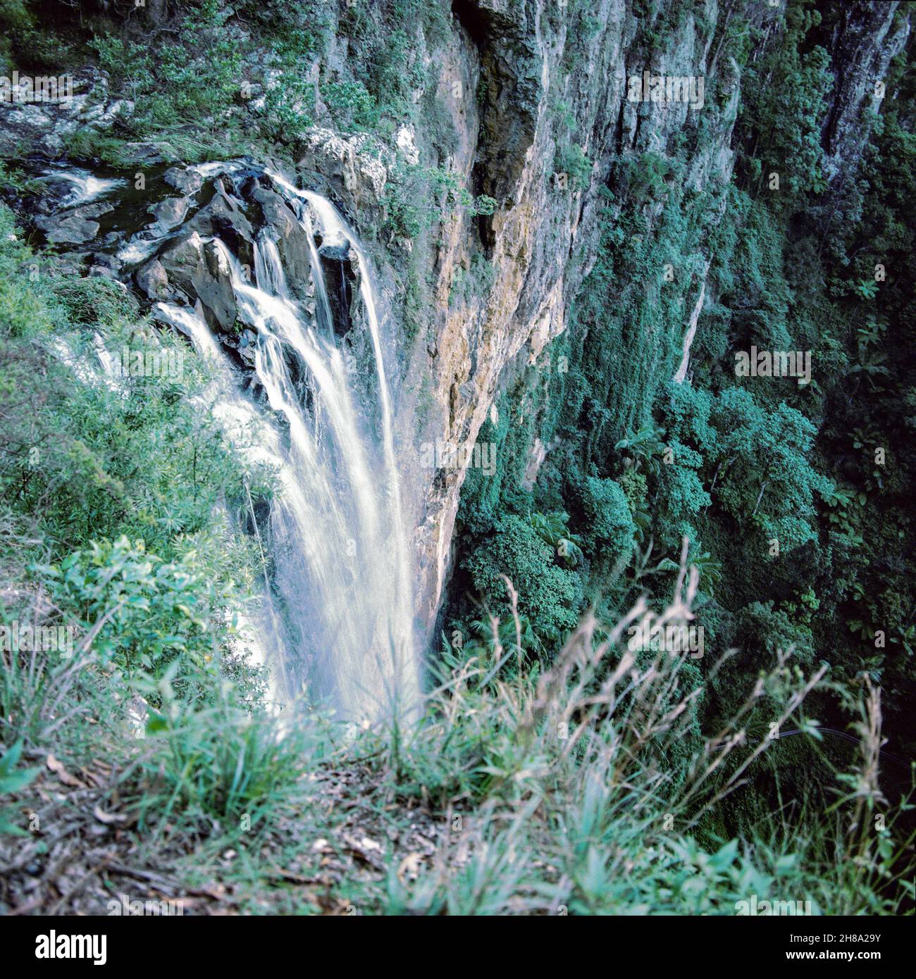Purling Brook Falls, Springbrook National Park ,Gold Coast, Queensland