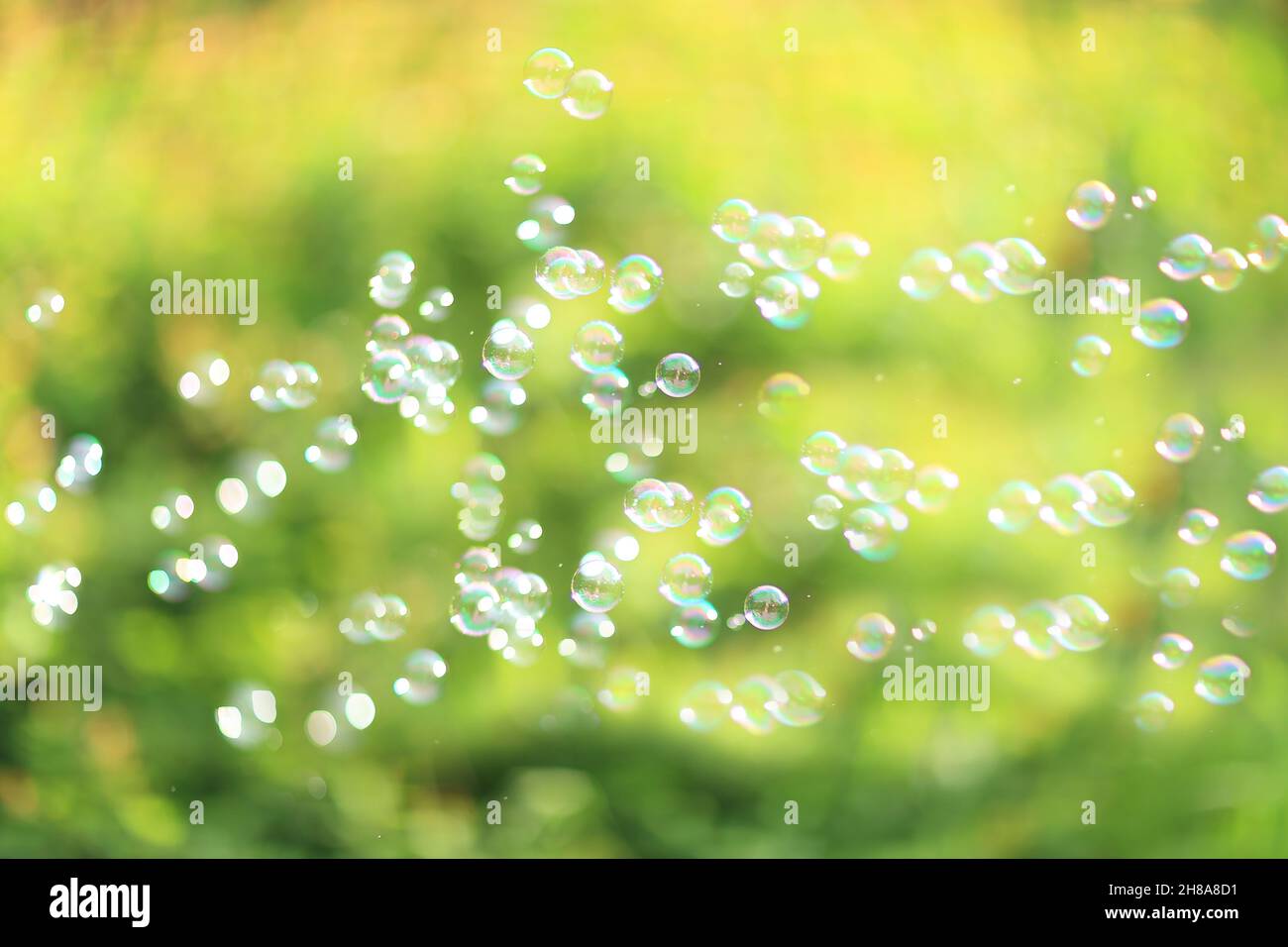 The rainbow bubbles from the bubble blower Stock Photo