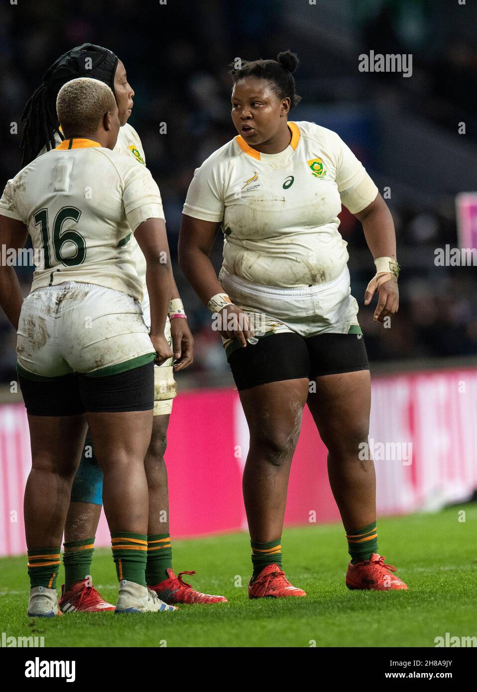Springbok rugby women hi-res stock photography and images - Alamy