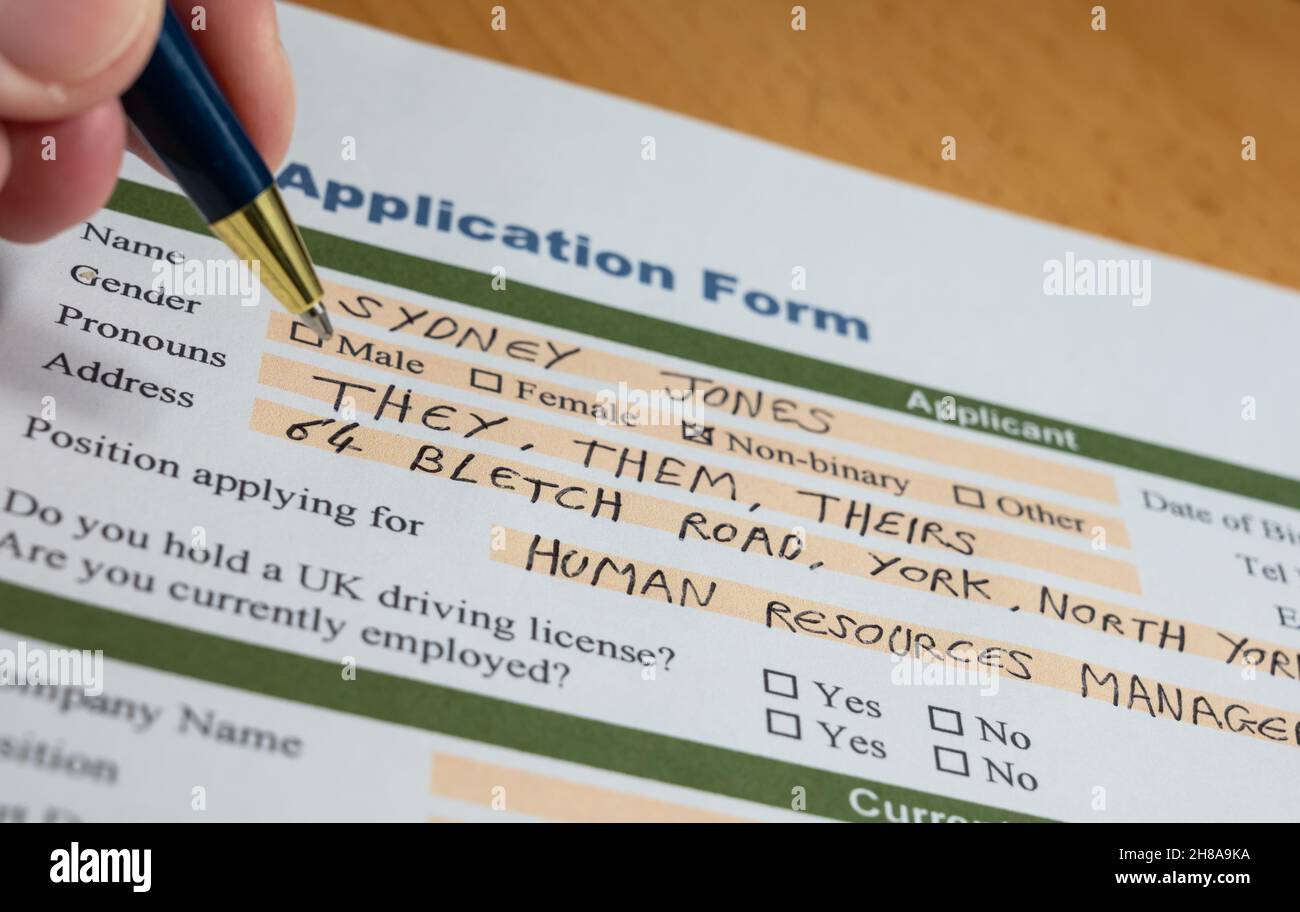 Person completing job application form asking for gender (non-binary) & personal pronouns. Gender equality, identity & inclusivity jobs. Stock Photo
