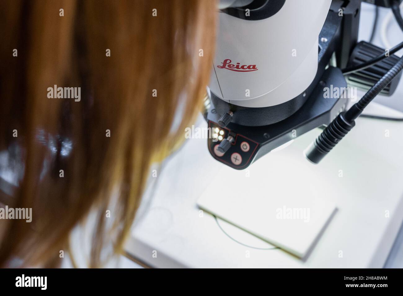 Scientist uses Leica microscope for biochemical or cell biology analysis, November 2021, San Francisco, USA. Stock Photo