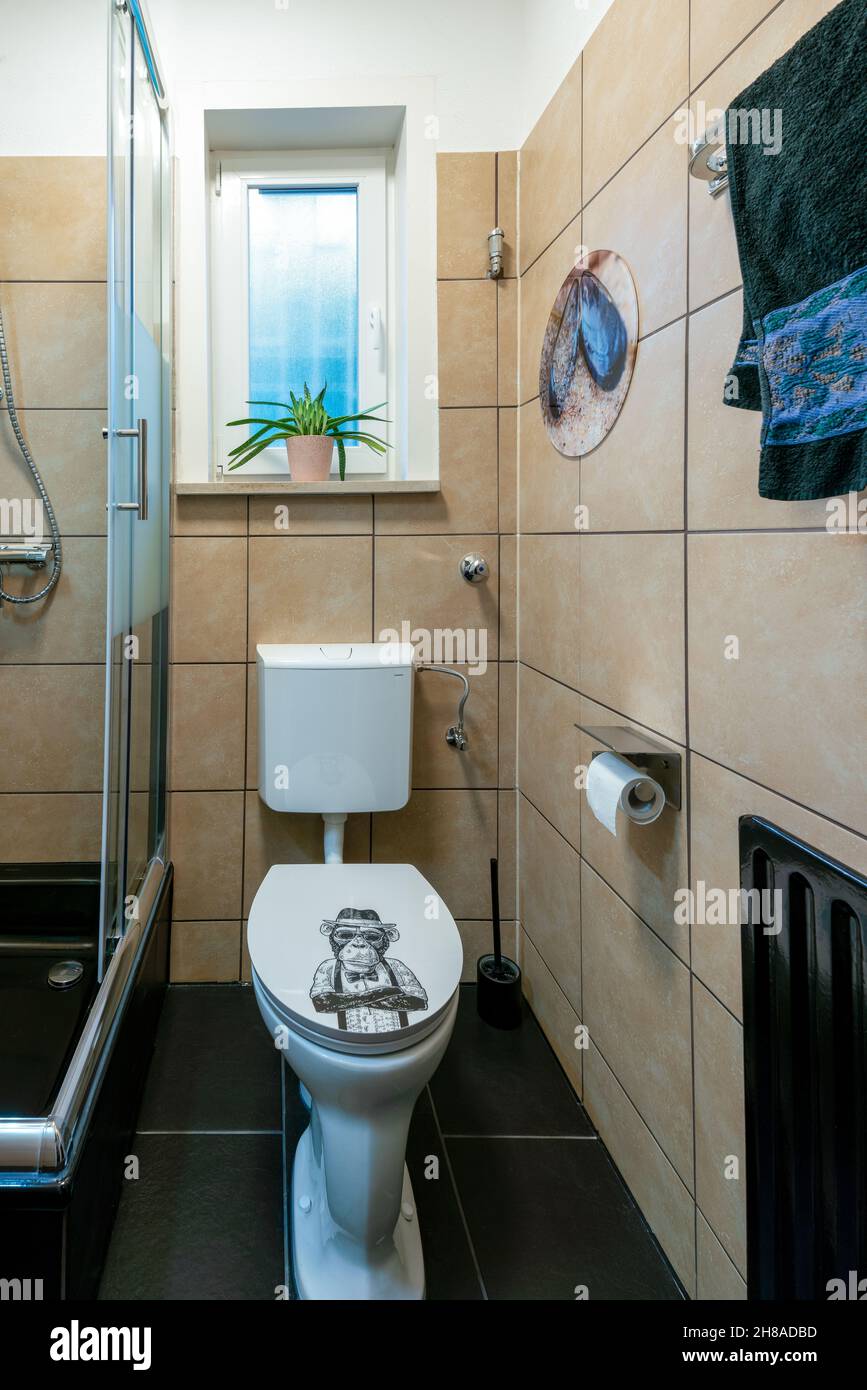 Newly renovated very small traditional bathroom with toilet, sink and shower Stock Photo