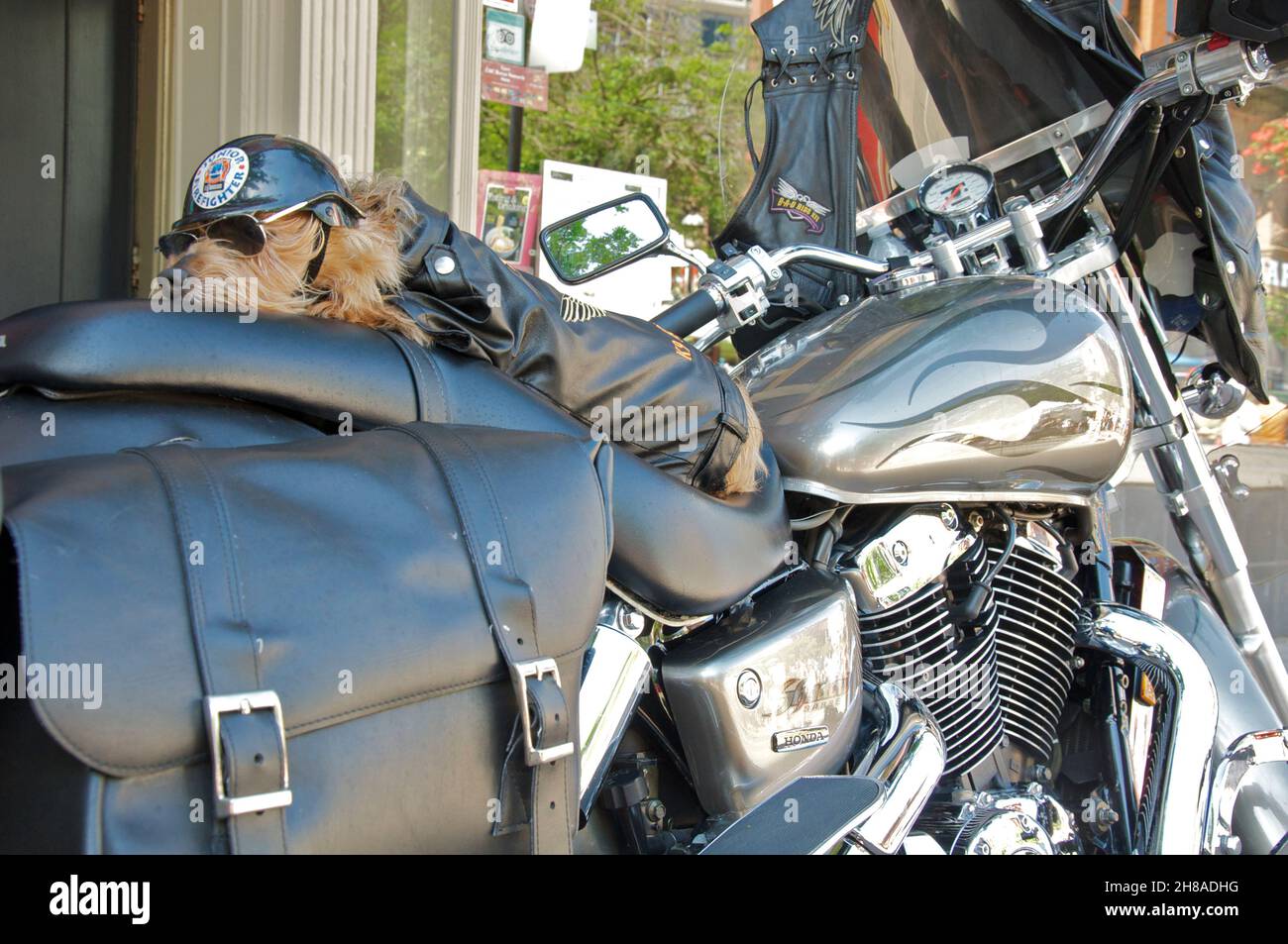 Motorcycle Helmet Collection High Resolution Stock Photography and 