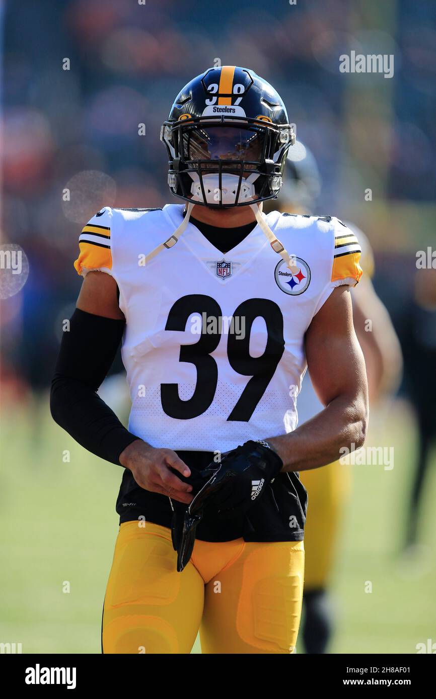 PITTSBURGH, PA - DECEMBER 24: Pittsburgh Steelers safety Minkah Fitzpatrick  (39) is announced during the national football league game between the Las  Vegas Raiders and the Pittsburgh Steelers on December 24, 2022