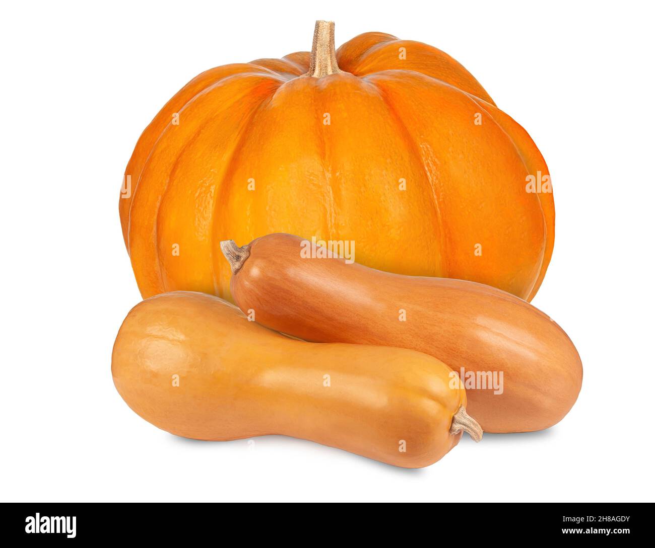 three different kind pumpkins isolated on white background Stock Photo