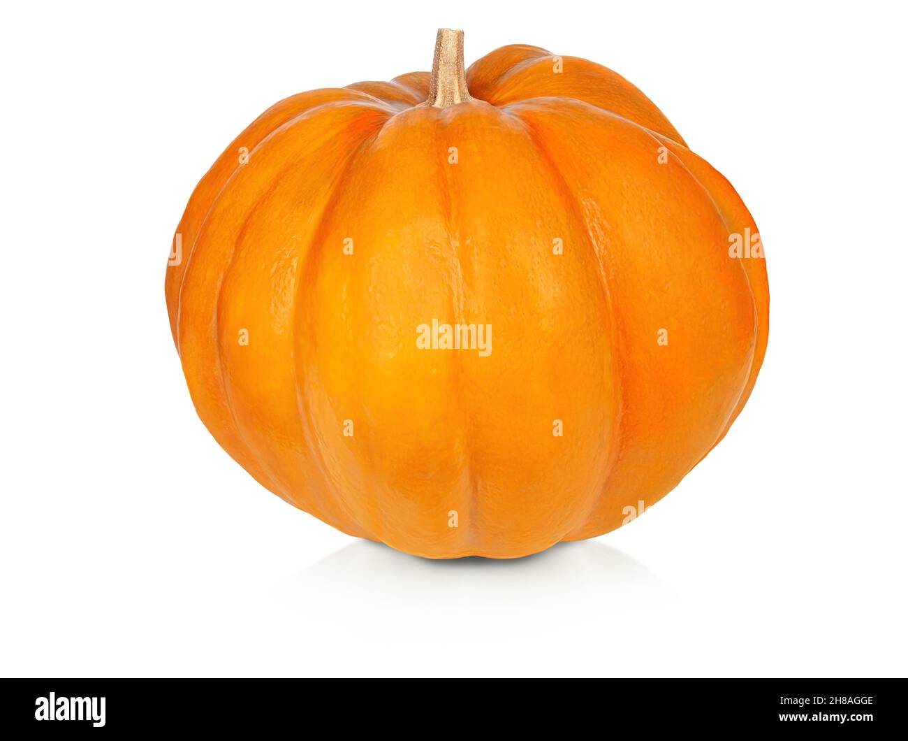 pumpkin isolated on white background Stock Photo - Alamy