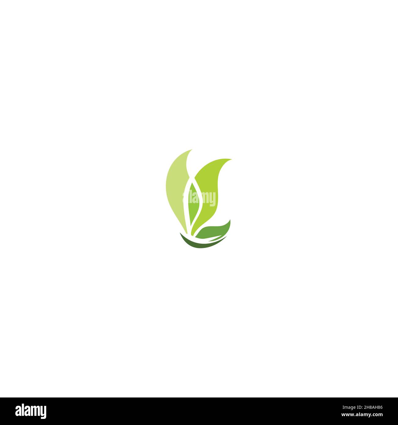 Abstract Luxurious Colorful Gradient Butterfly logo Ideas. Inspiration logo design. Template Vector Illustration. Isolated On White Background Stock Vector