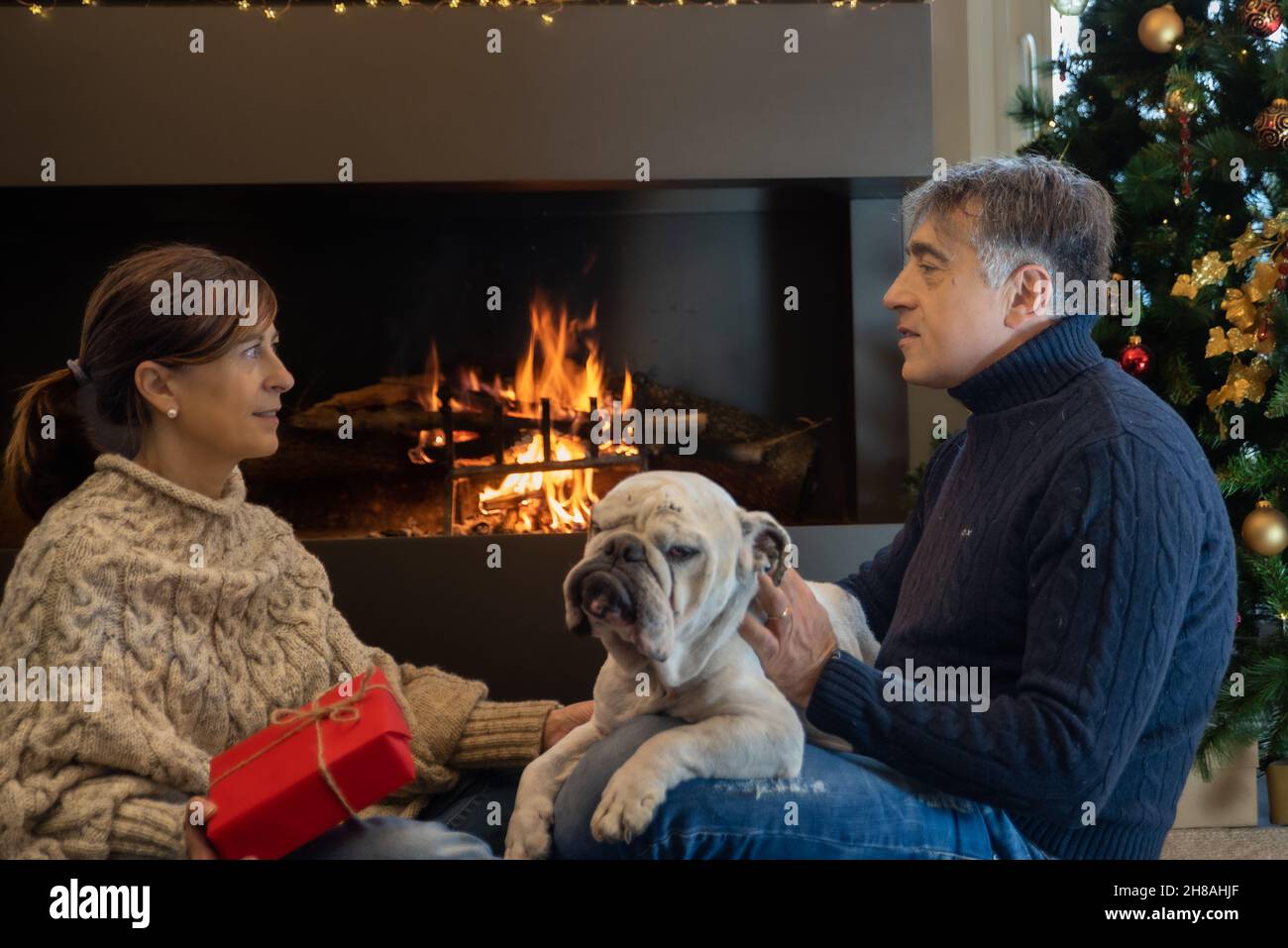 Middle-aged couple exchanges Christmas presents in front of the fireplace with their dog in the living room of the house. Stock Photo
