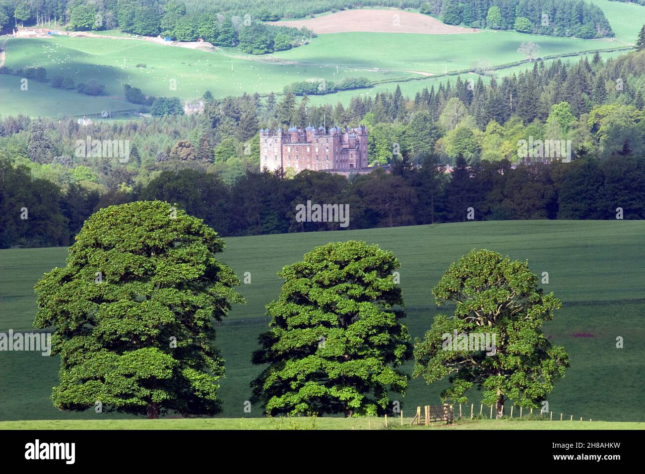Drumlanrig Castle home to the DUke and Duchess of Buccleuch & Queensberry, Queensbury estate, Dumfries & Galloway, Dumfriesshire, Scotland Stock Photo