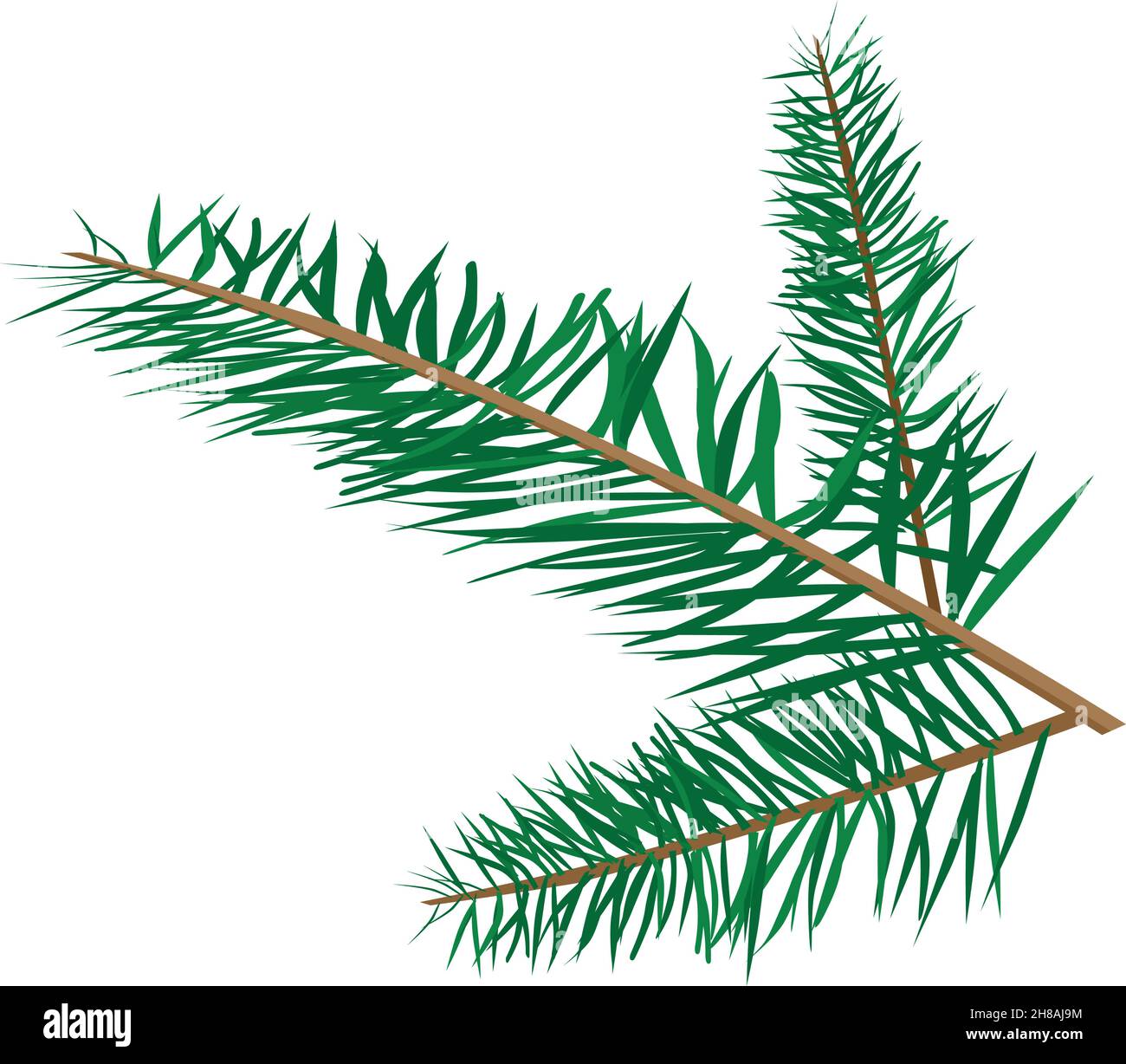 Christmas tree branch color vector illustration isolated Stock Vector