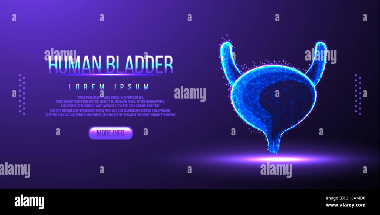 human bladder low poly wireframe Stock Vector
