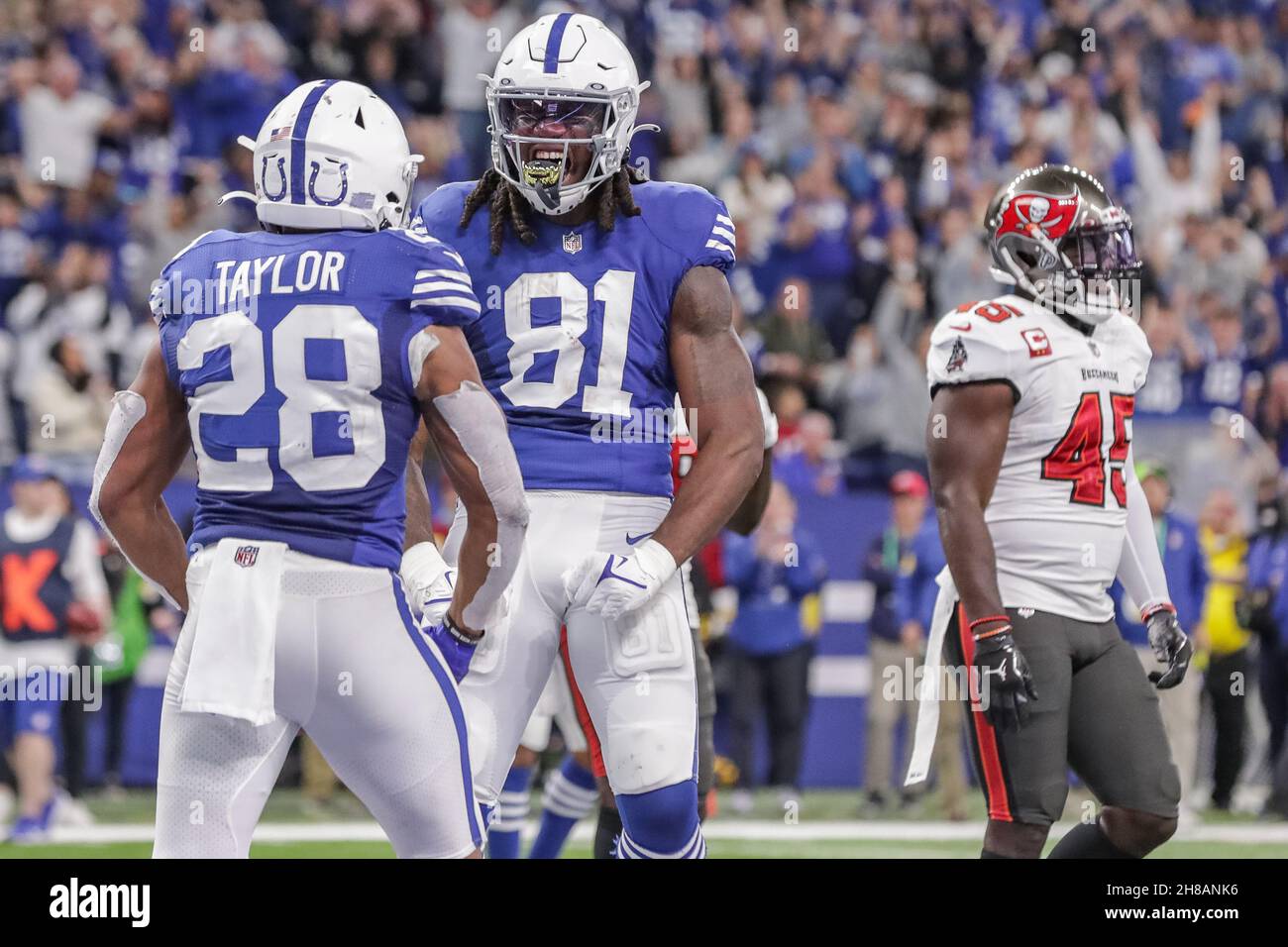 Indianapolis, Indiana, USA. 28th Nov, 2021. Indianapolis Colts tight end Mo Alie-Cox (81) celebrates a touchdown run by Indianapolis Colts running back Jonathan Taylor (28) during the game between the Tampa Bay Buccaneers and the Indianapolis Colts at Lucas Oil Stadium, Indianapolis, Indiana. (Credit Image: © Scott Stuart/ZUMA Press Wire) Stock Photo