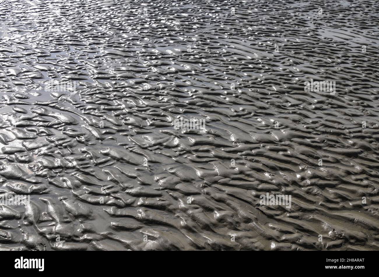 Natural pattern caused by off-flowing water during falling tide on a sandy ocean beach Stock Photo