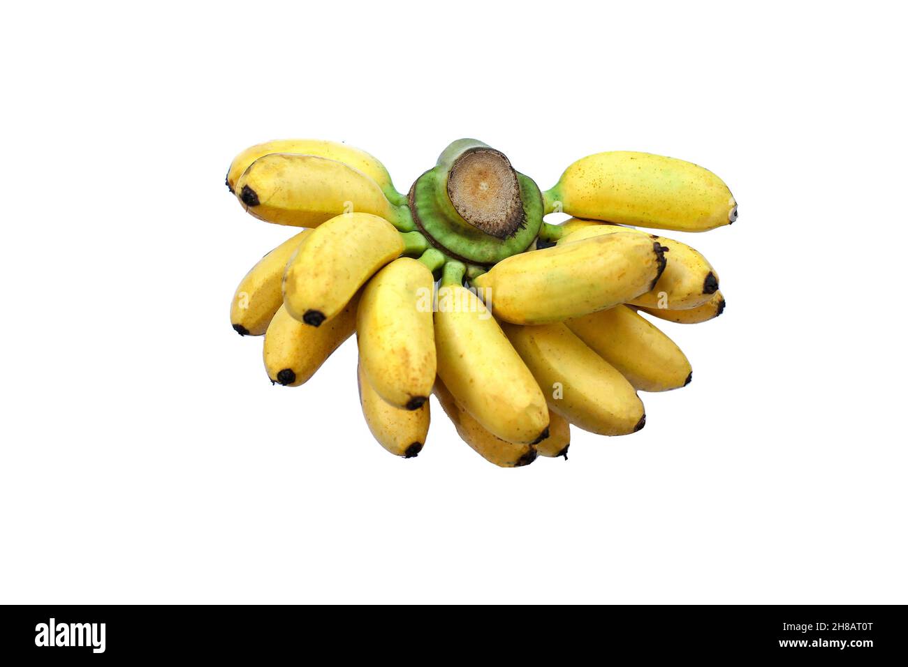 bananas on a white background Bananas contain vitamins that balance the body. Stock Photo