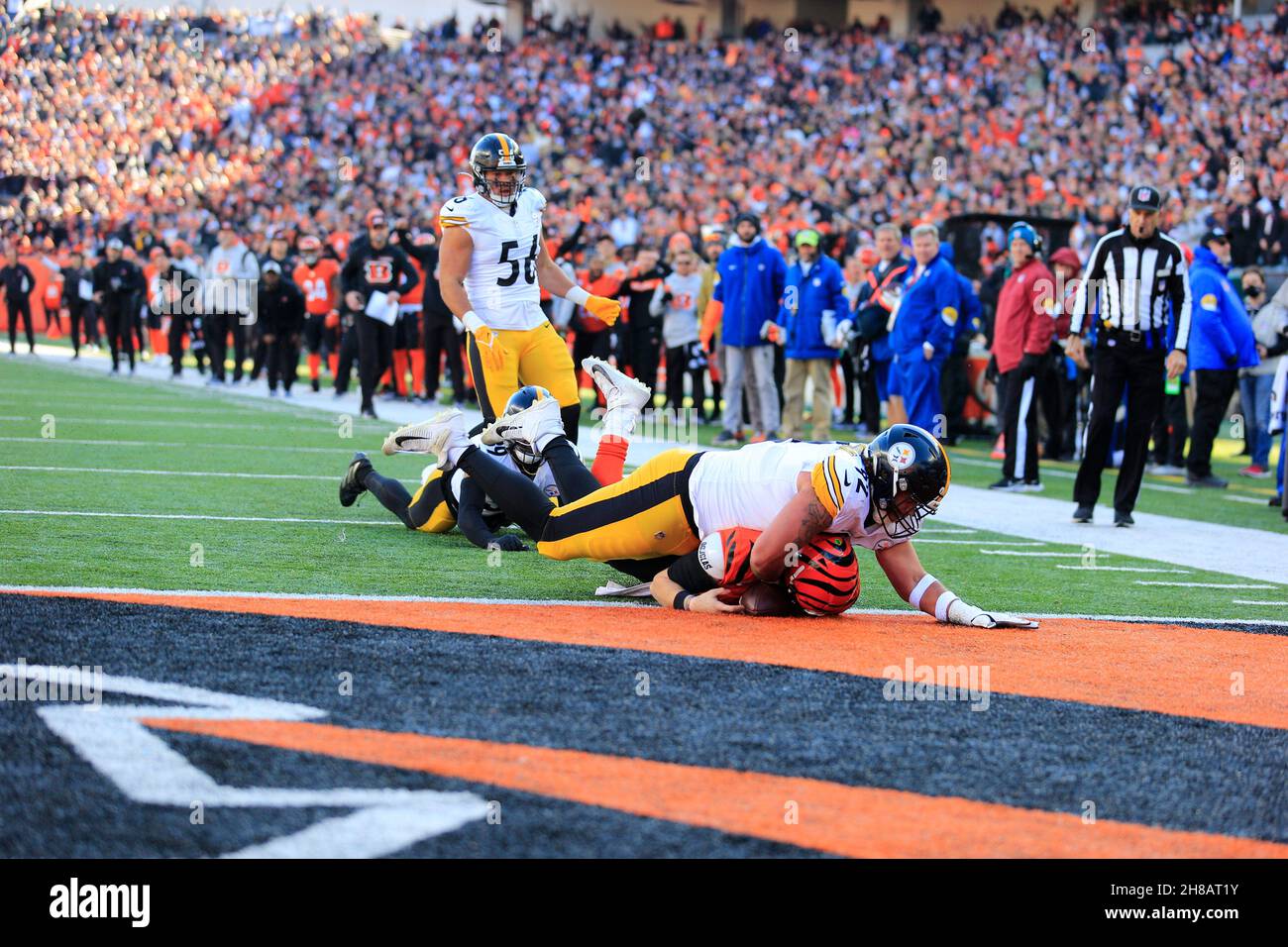 Joe burrow bengals press conference hi-res stock photography and images -  Alamy