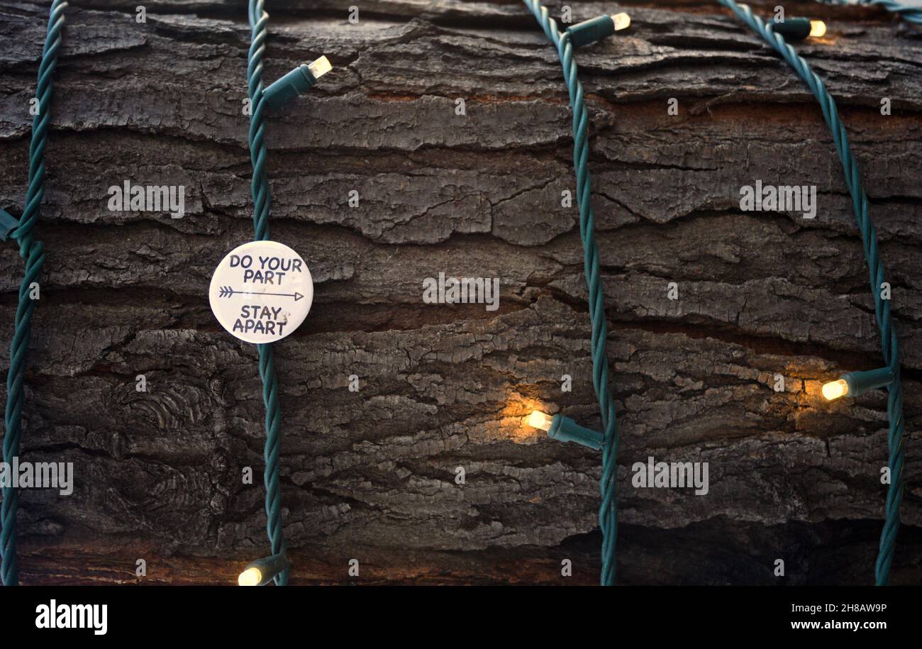 Trimmed in bright lights hires stock photography and images Alamy