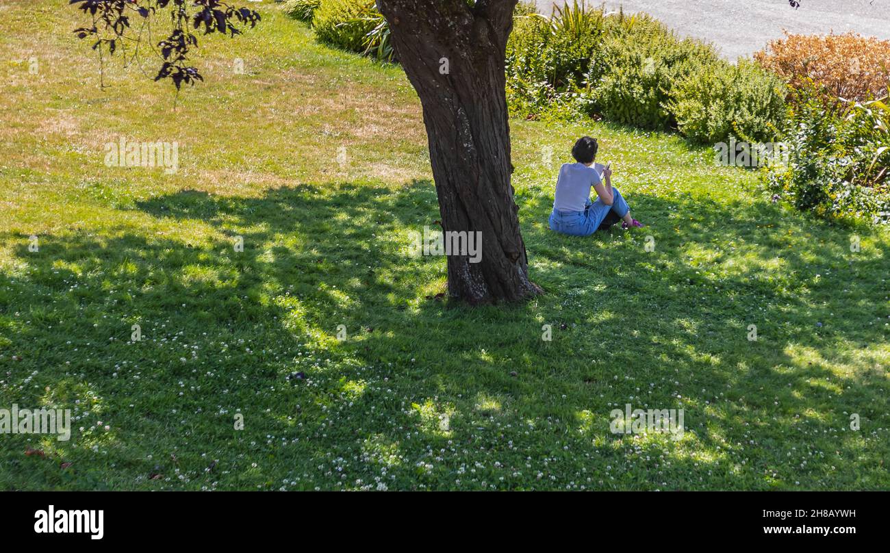 Woman sitting under tree reading a book in sunny day. Stock Photo