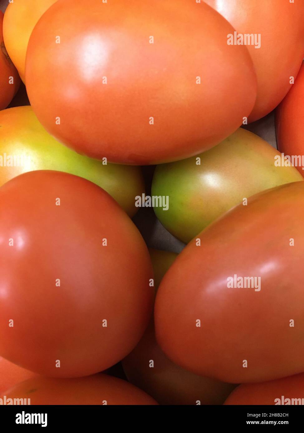 Pile of Roma Tomatoes on display in a grocery store in Stock