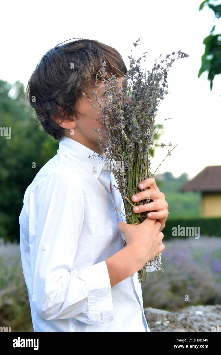 Boy smelling freshly picked lavender in field Stock Photo
