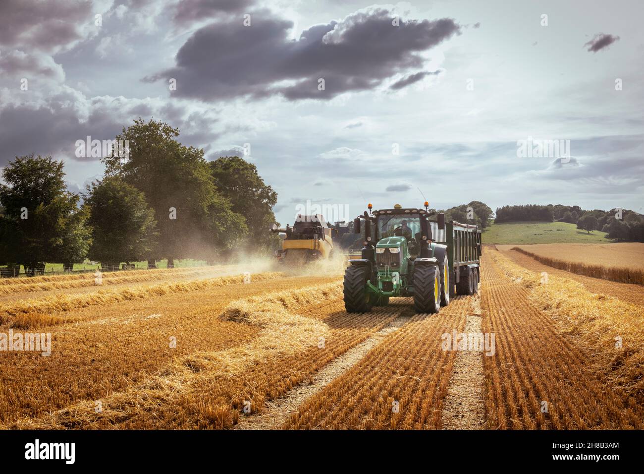 Tractor and combine harvester in field Stock Photo