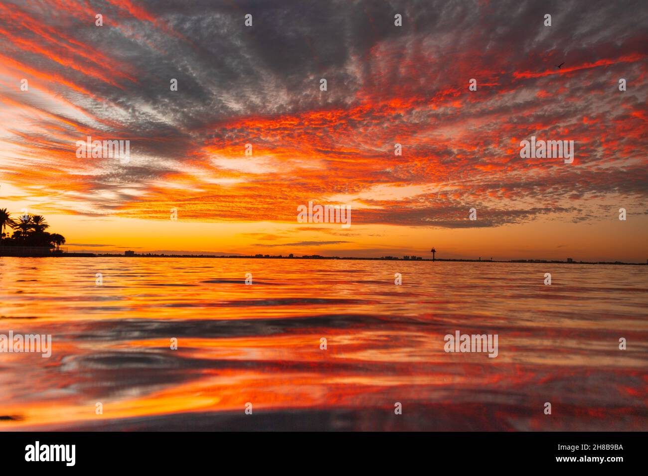 Beautiful sunset beach trees hi-res stock photography and images - Alamy