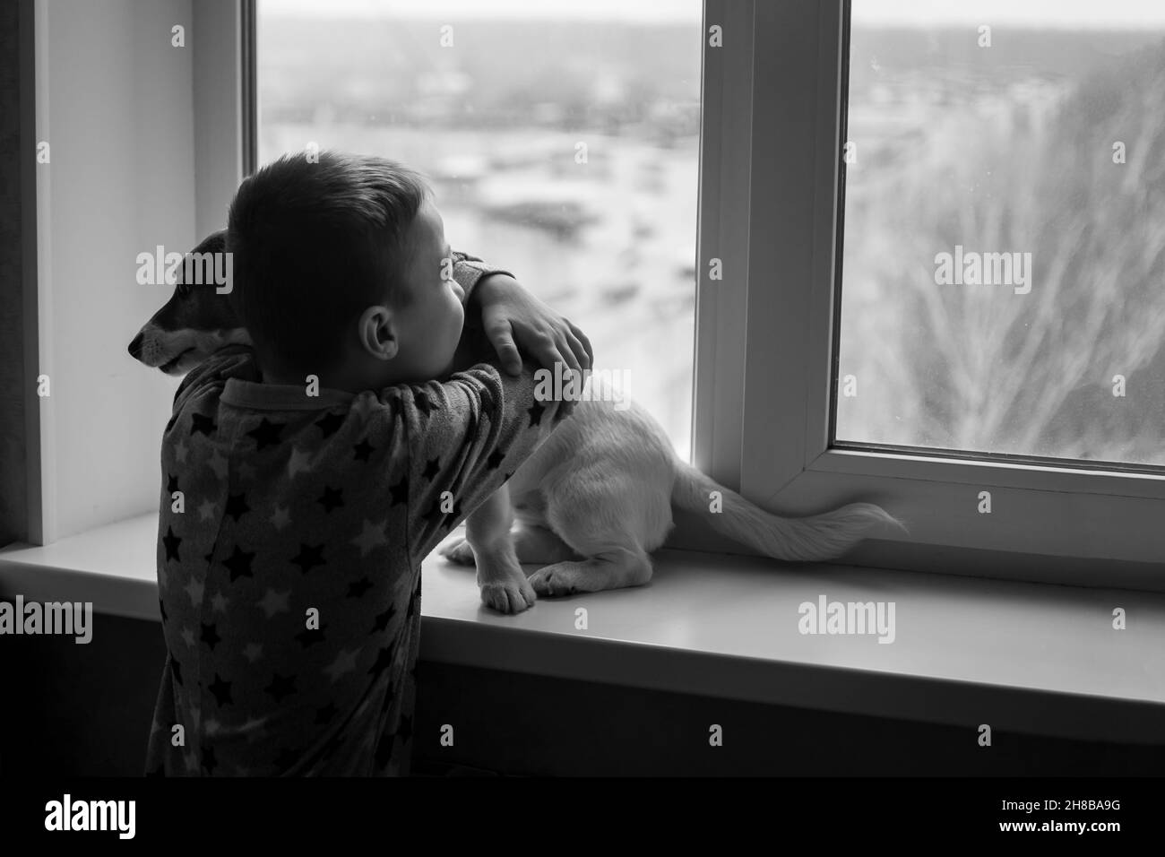 a boy hugs a dog near the apartment window.  Stock Photo