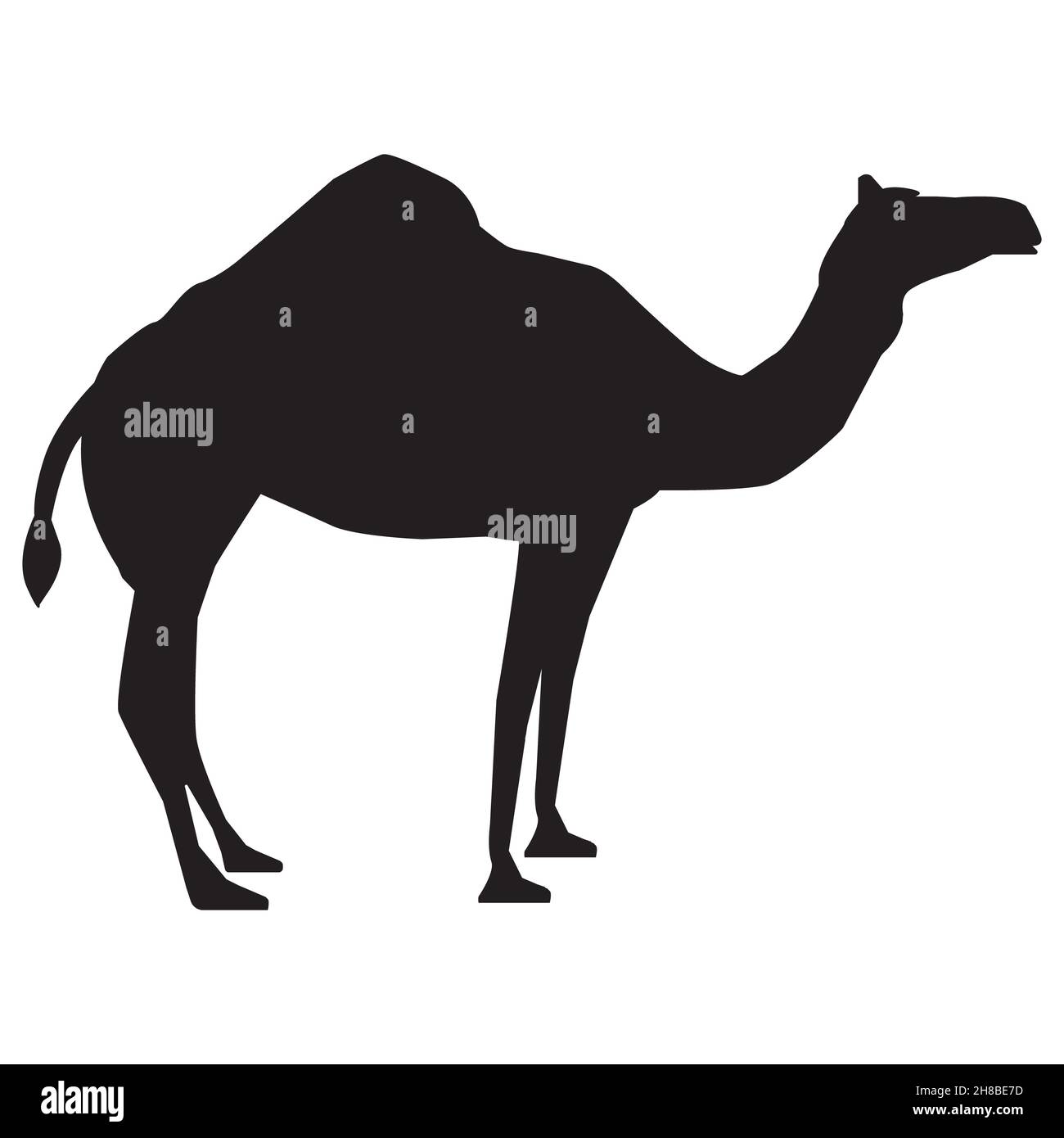 camel icon on white background. camel silhouette sign. flat style Stock ...