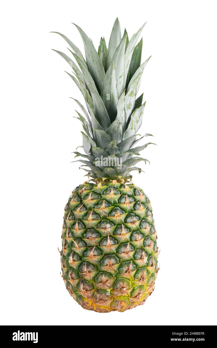 Single whole pineapple isolated on white background. Pineapple with leaves isolate on white. Whole pineapple with green leaves isolated Stock Photo