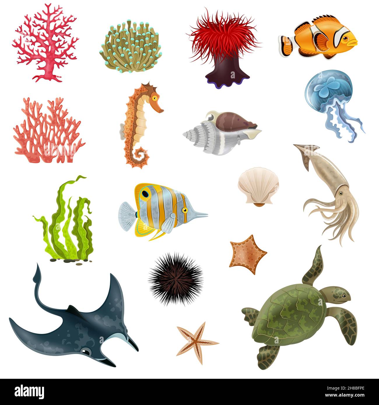 Set of sea life cartoon icons with fish coral seaweed shell  invertebrate vector illustration Stock Vector