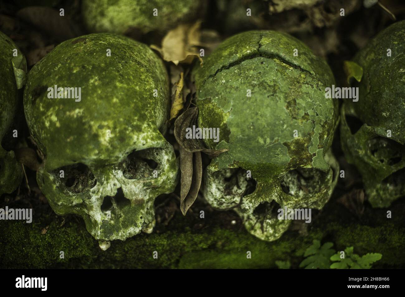 Human skull bones are seen lying on the ground at the Terunyan cemetery