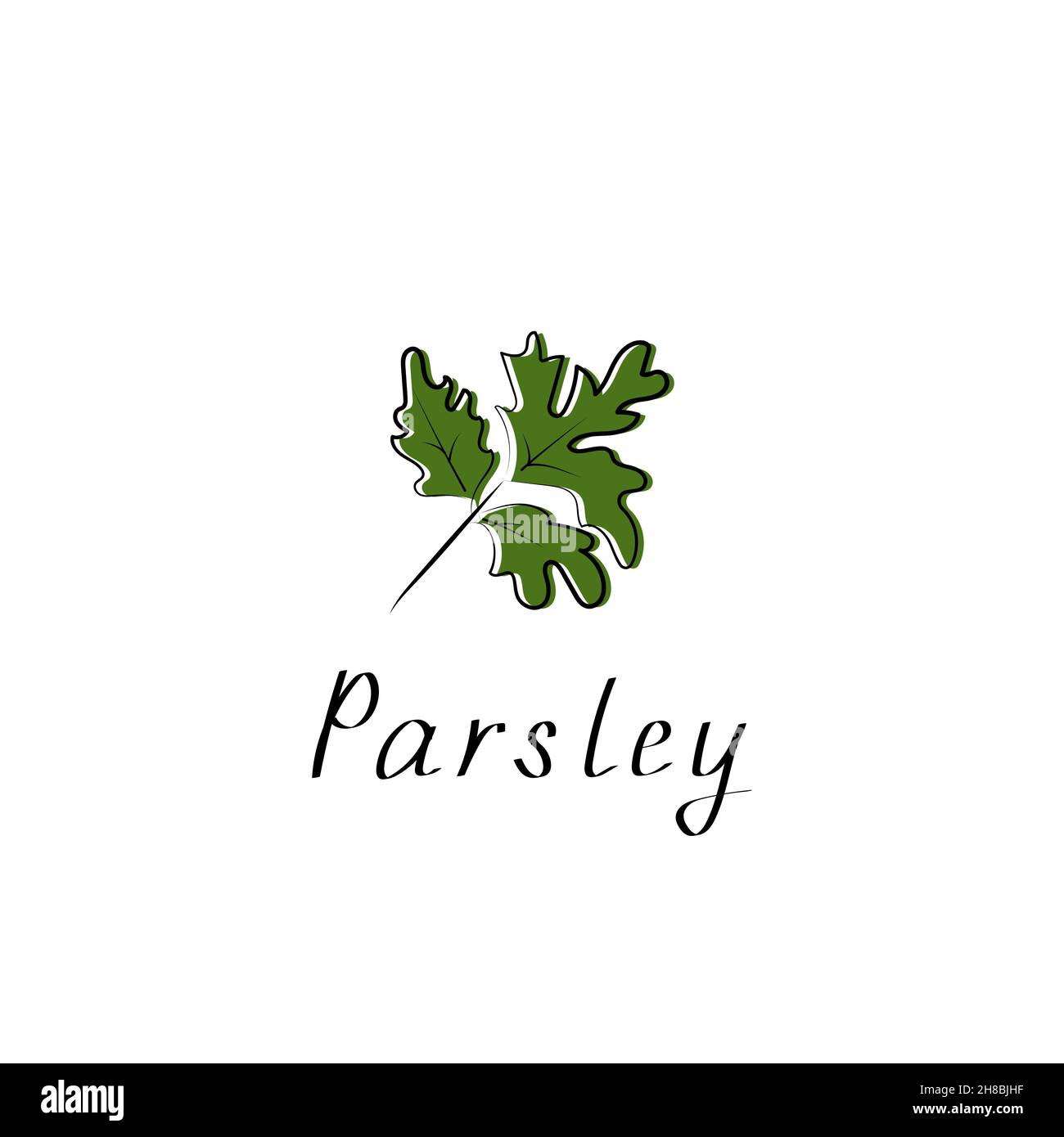 Parsley herb isolated on white background. Vector flat illustration Stock Vector