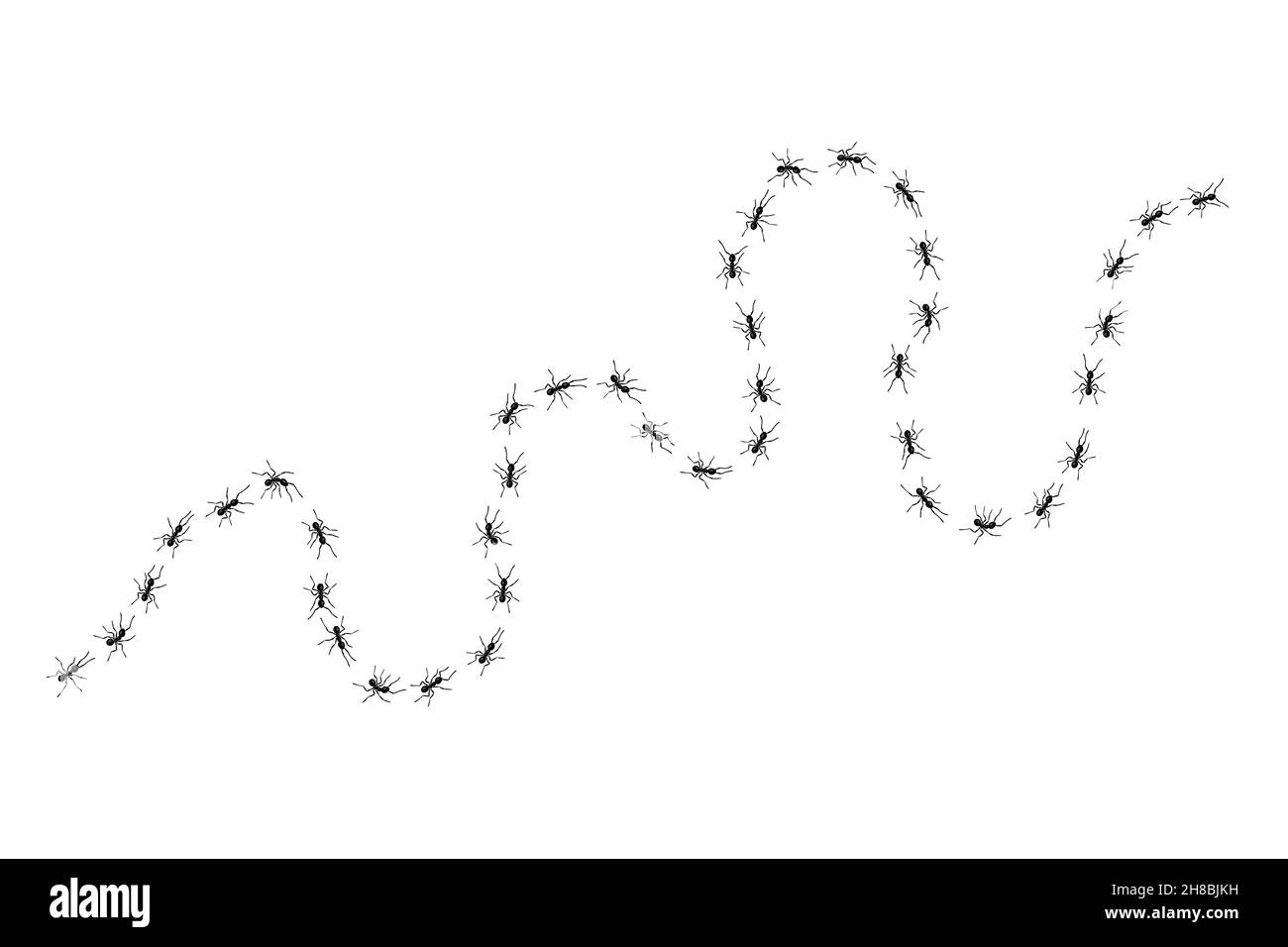 Worker ants trail line flat style design vector illustration isolated ...