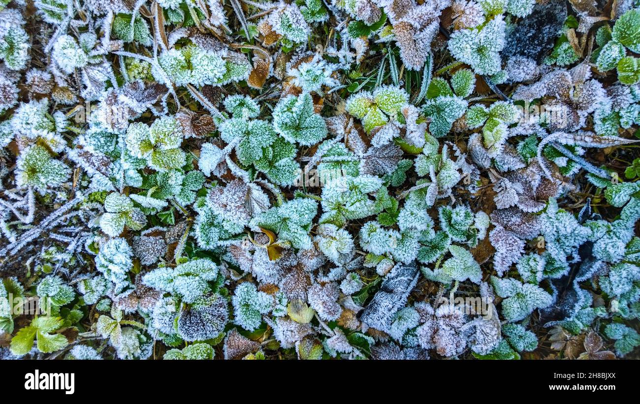 Ice on the ground hi-res stock photography and images - Alamy