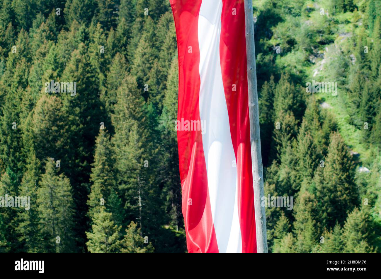 Austria, Tyrol the Austrian flag with an Alpine forest background Stock Photo