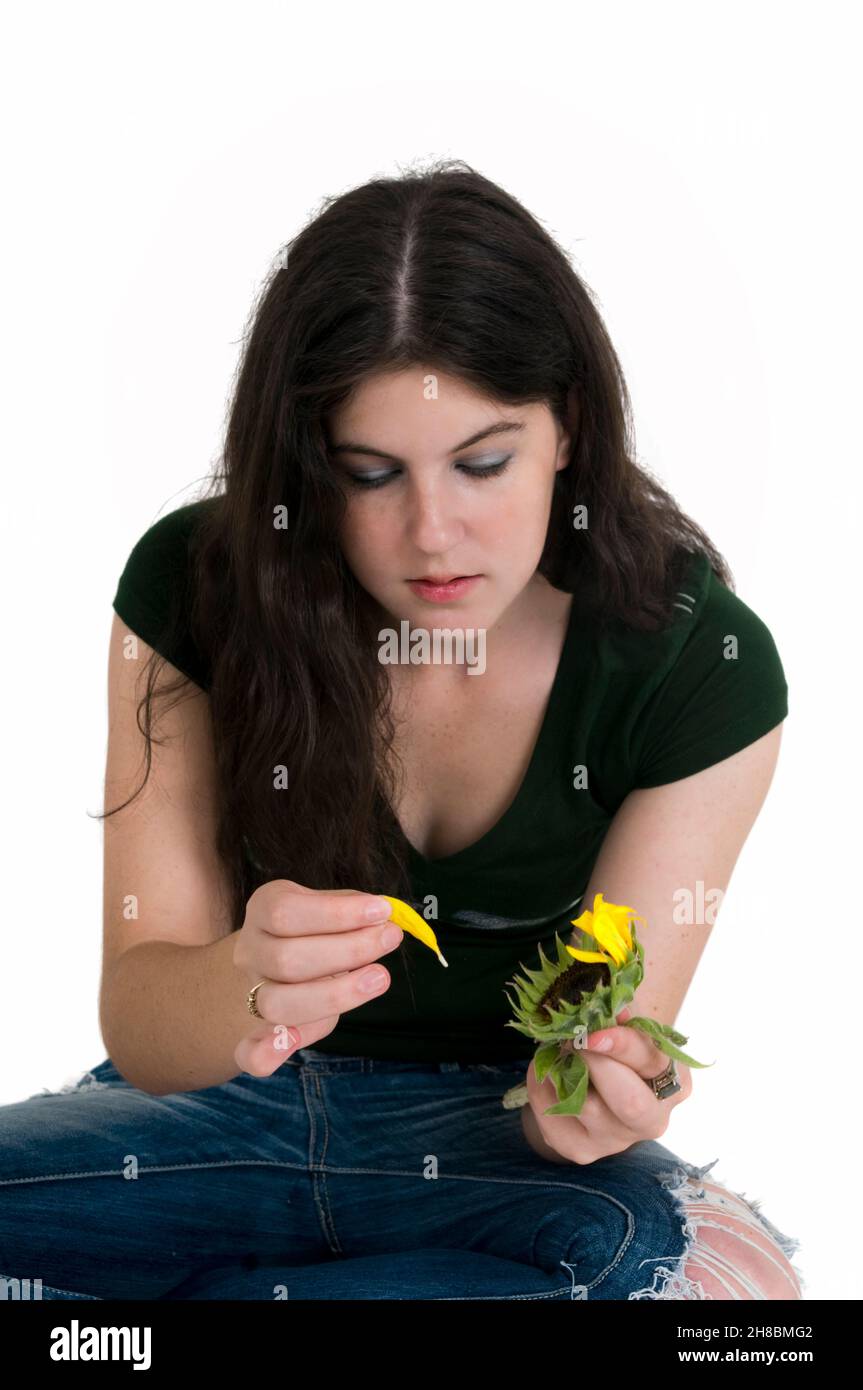 He loves me He loves me not young female teen pulls out the petals of a sunflower Stock Photo