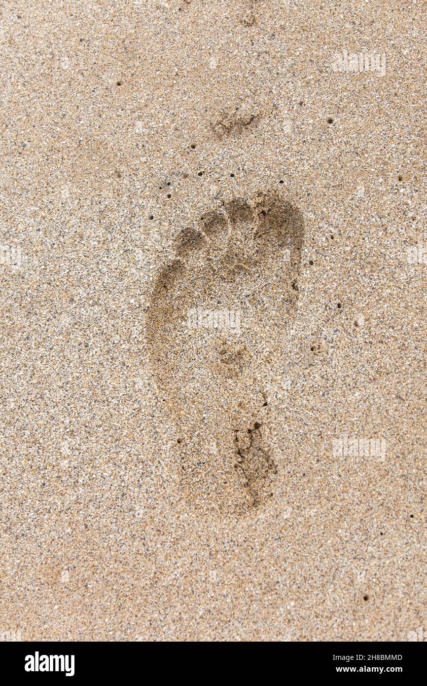 Single footprint on the beach Stock Photo