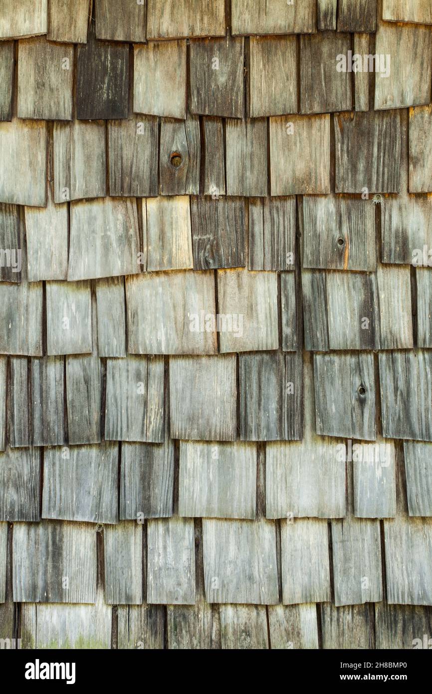 Surface made of wooden roof shingles Stock Photo