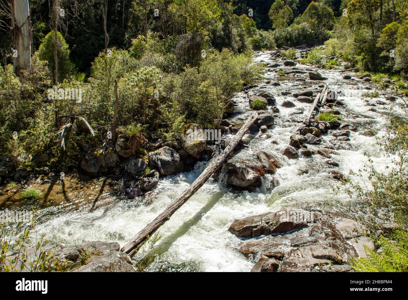 East Kiewa River, near Mt Beauty, Victoria, Australia Stock Photo