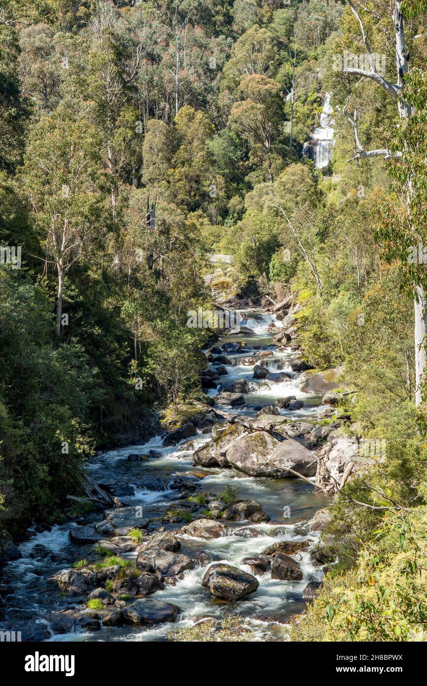 East Kiewa River and Fainters Falls, near Mt Beauty, Victoria, Australia Stock Photo