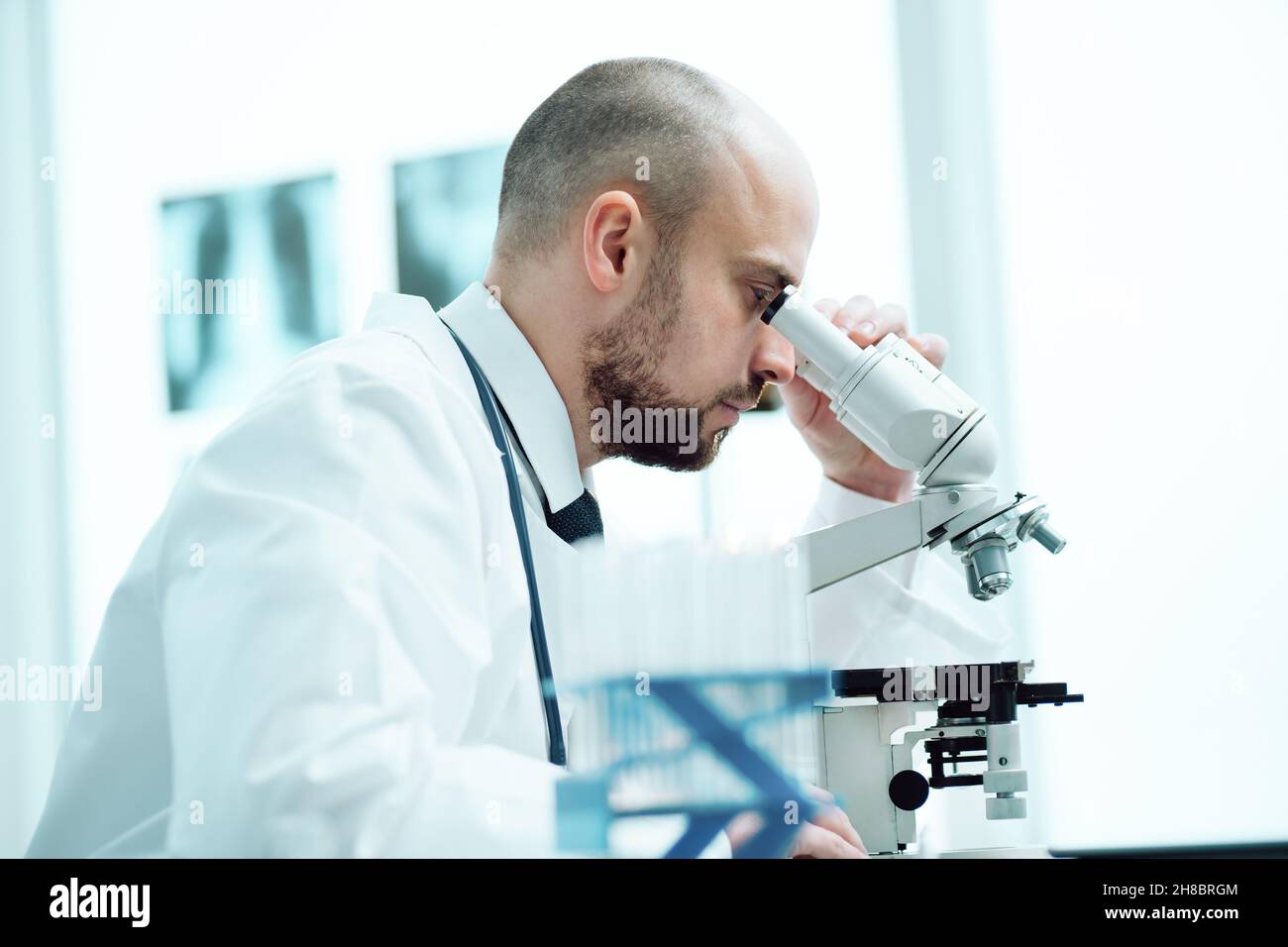 young scientist studying the obtained samples through a microscope Stock Photo
