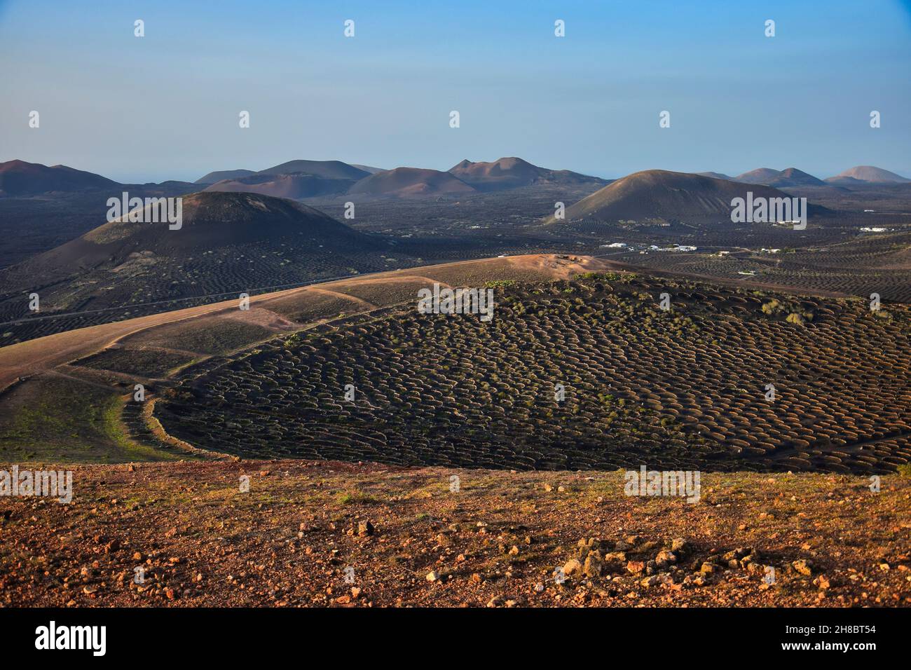 The wine-growing area of La Geria, Lanzarote. In the background the volcanos of the Timanfaya National Park. Canary Islands, Spain. Stock Photo