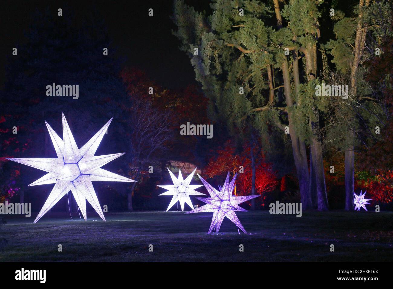 Seven Acres Lawn, Christmas Glow 2021, RHS Garden Wisley, Woking