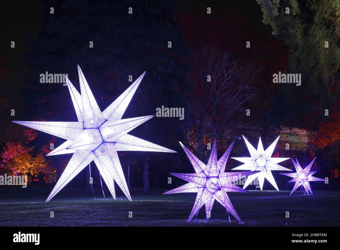 Seven Acres Lawn, Christmas Glow 2021, RHS Garden Wisley, Woking